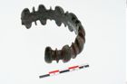 Foto von Bronzearmreif (NHMW-PRAE-025350)